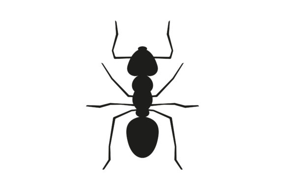 Ant: A Powerful Tool for Software Development