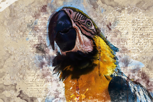 Collage of Birds Printable Graphic 07: A Versatile Design for Creative Expression