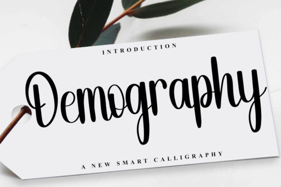 Demography: A Font That Adds Charm and Elegance