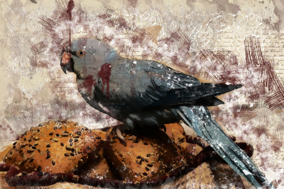 Discover the Beauty of Collage of Birds Printable Graphic 08