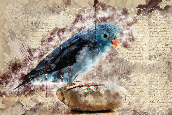Express Yourself with Collage of Birds Printable Graphic 09