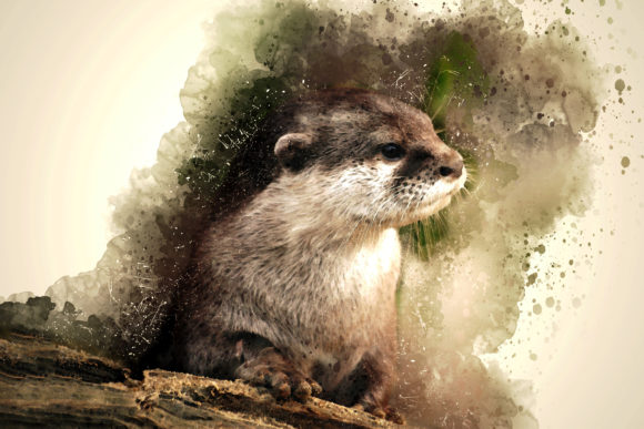 Printable Animal Graphics 05: A Creative Tool for Every Occasion